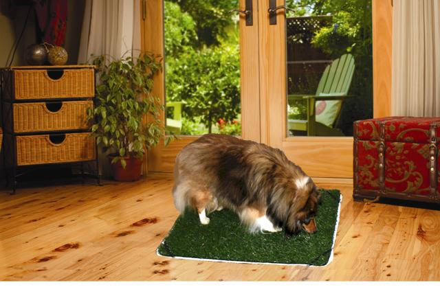 Pup-Head Portable Dog Potty