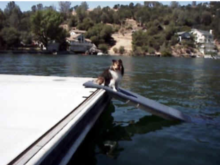 About doggydocks® 3