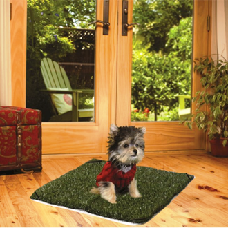 Pup-Head® Lite  Portable Dog Potty  Mini