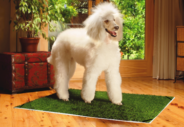 Pup-Head® Lite  Portable Dog Potty  Large