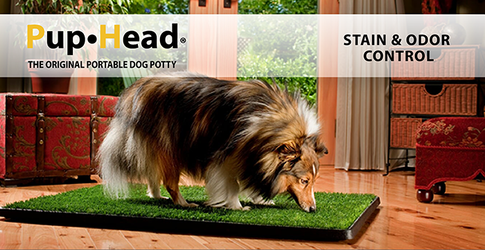 PupHead Stain & Odor Control