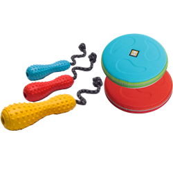 Dog playing with pool ball